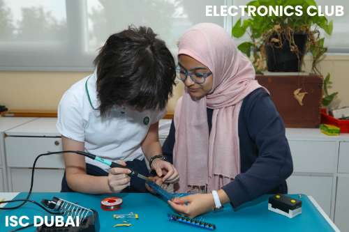 Electronics (5)