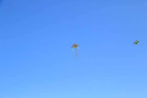 12717446_803502863087678_6510668441969517835_n